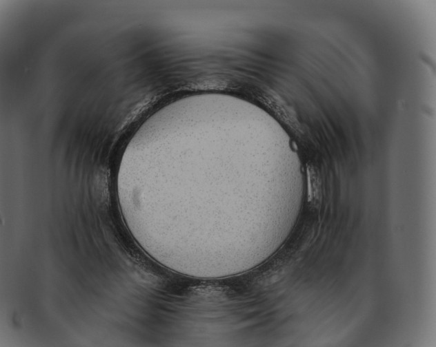 X0000091680300200709131553