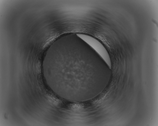 X0000091680303200709131553