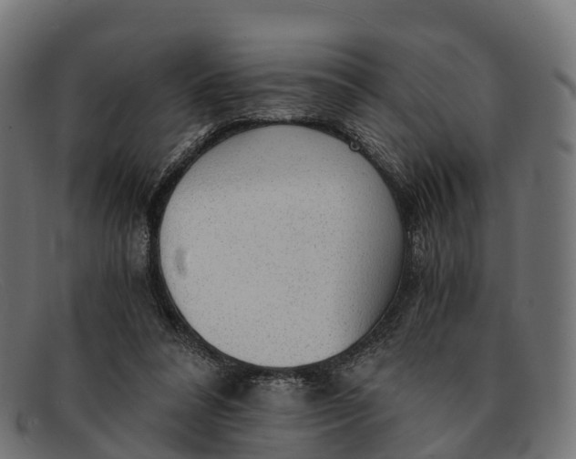 X0000091680304200709131553