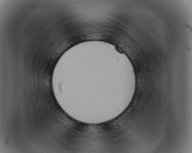 X0000091680305200709131553