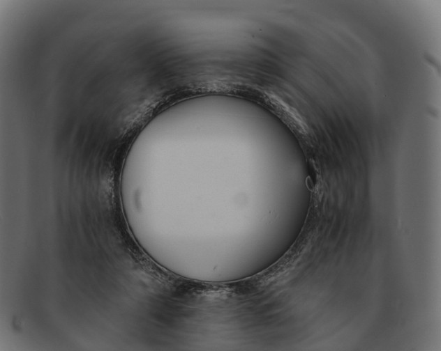 X0000091680306200709131553