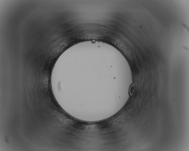 X0000091680309200709131553