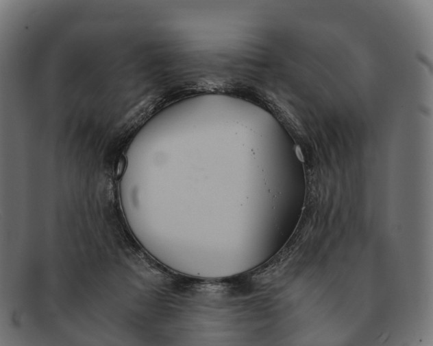 X0000091680313200709131553