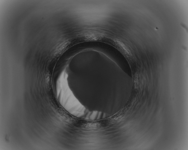 X0000091680314200709131553