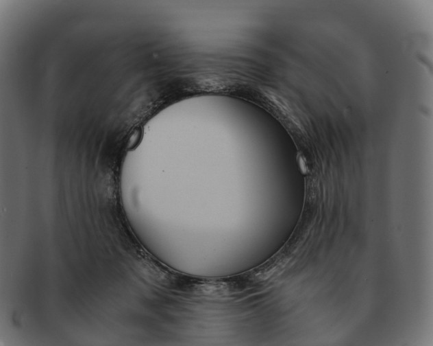 X0000091680317200709131553