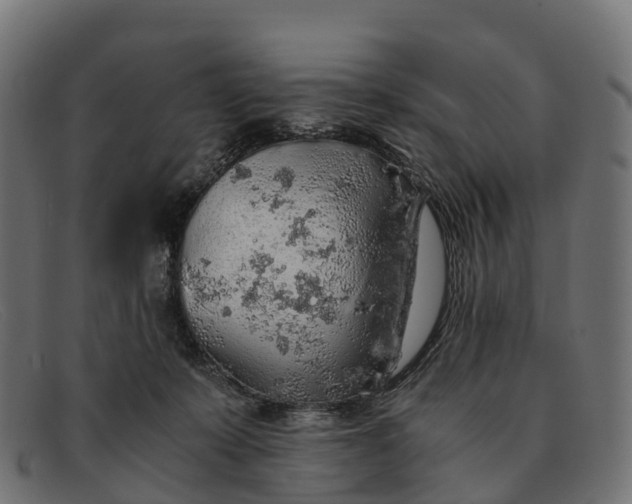 X0000091680319200709131553