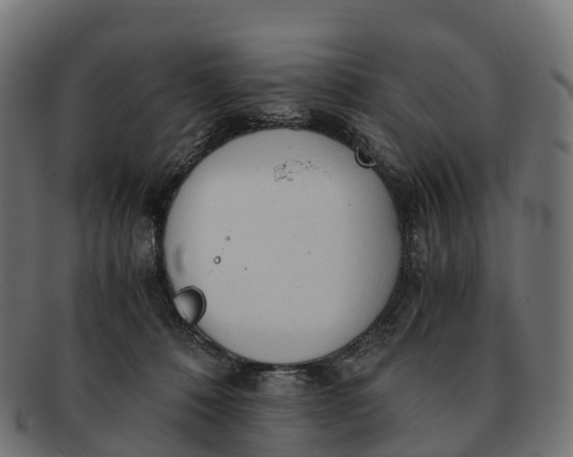 X0000091680320200709131553