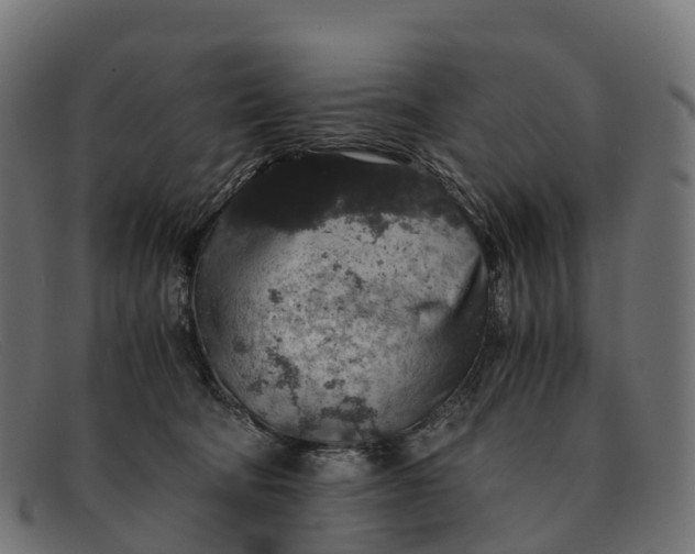 X0000091680322200709131552