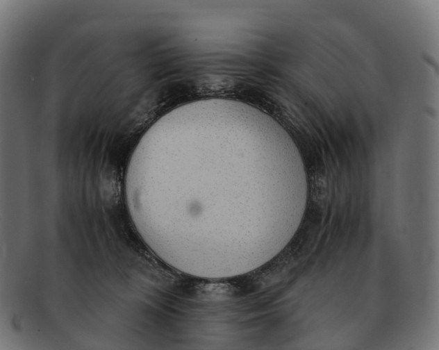 X0000091680324200709131552