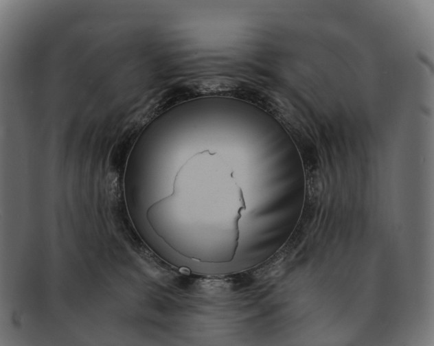 X0000091680327200709131552