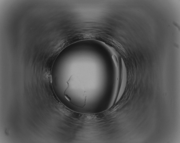 X0000091680329200709131552