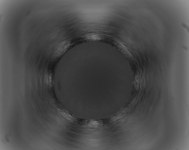 X0000091680330200709131552