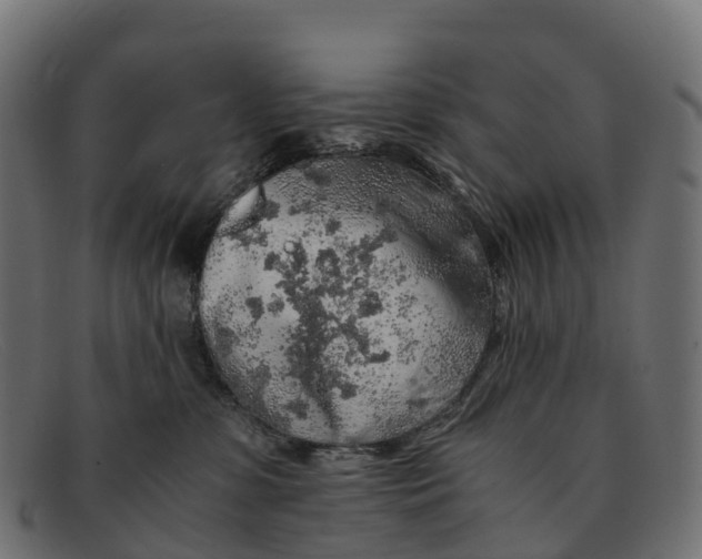 X0000091680331200709131552