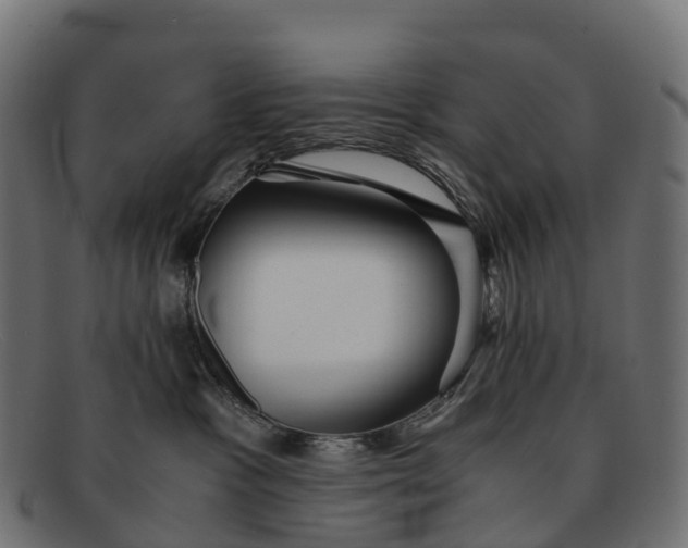 X0000091680333200709131552