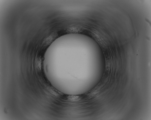 X0000091680334200709131552