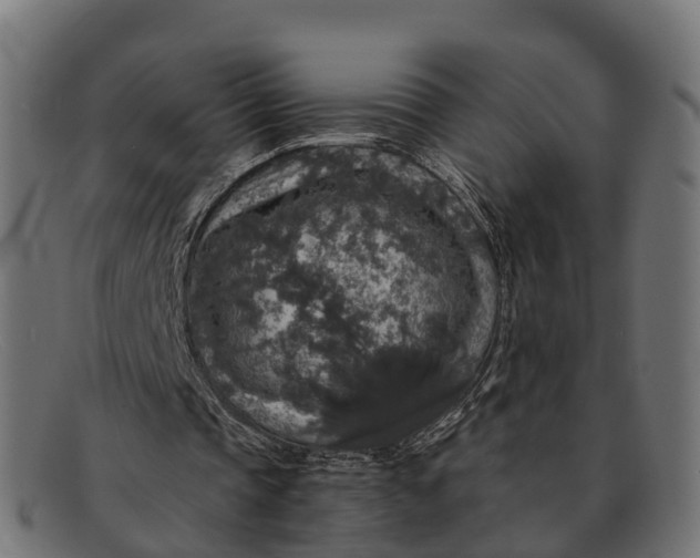 X0000091680337200709131552