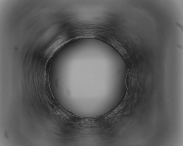 X0000091680338200709131552