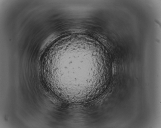 X0000091680339200709131552