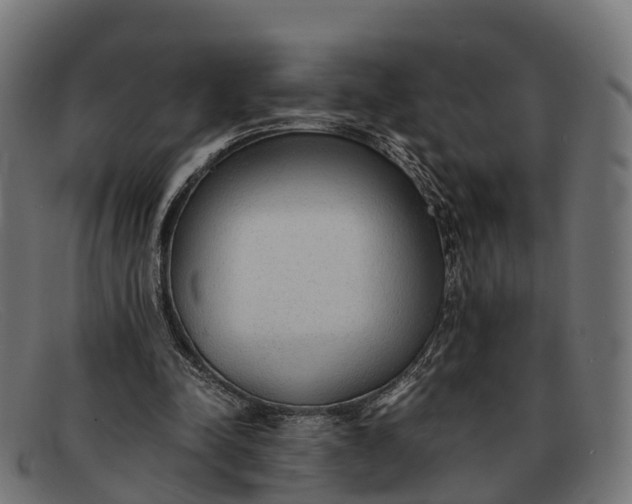 X0000091680342200709131552