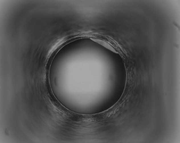 X0000091680344200709131552