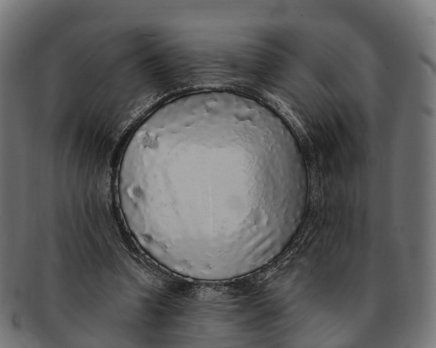 X0000091680346200709131552