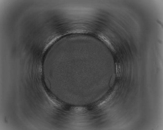 X0000091680348200709131552