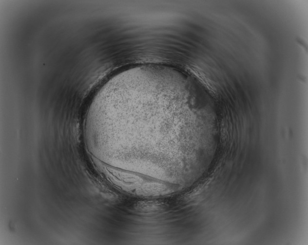 X0000091680351200709131552