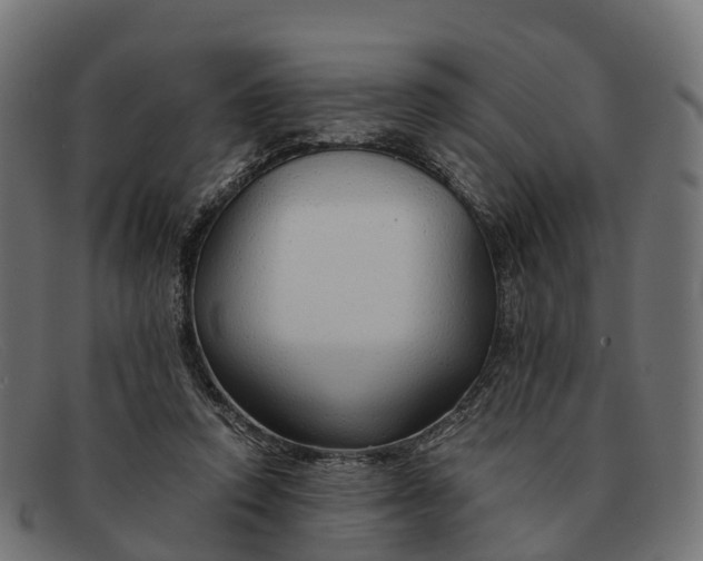 X0000091680354200709131552