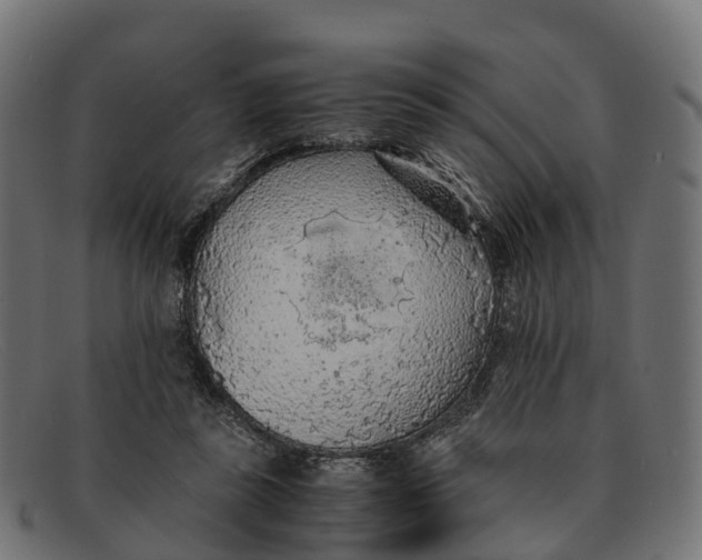 X0000091680355200709131552