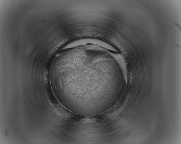 X0000091680356200709131552