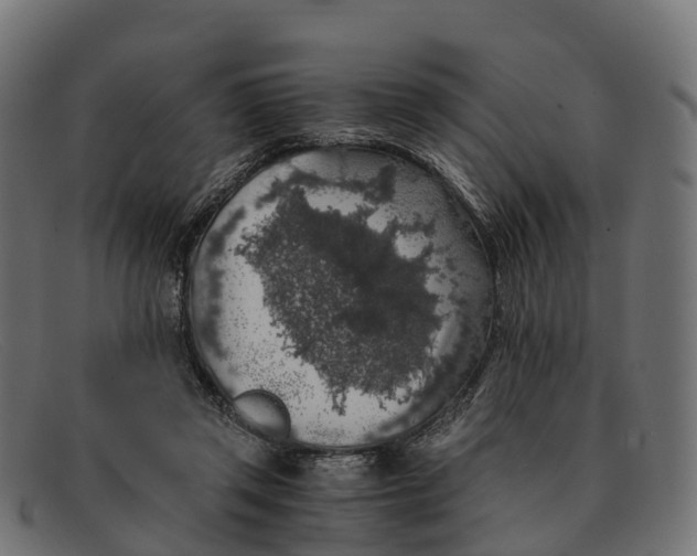 X0000091680357200709131552