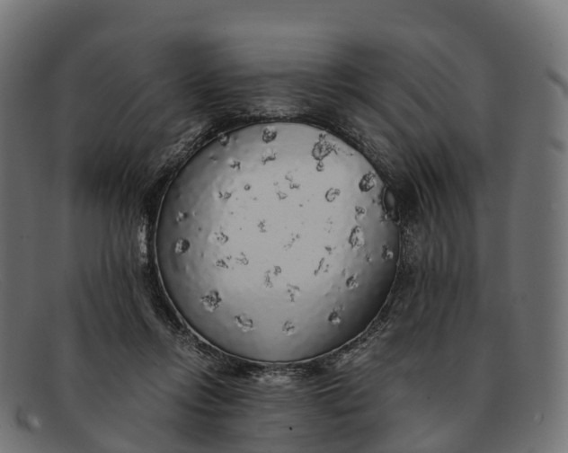 X0000091680358200709131552