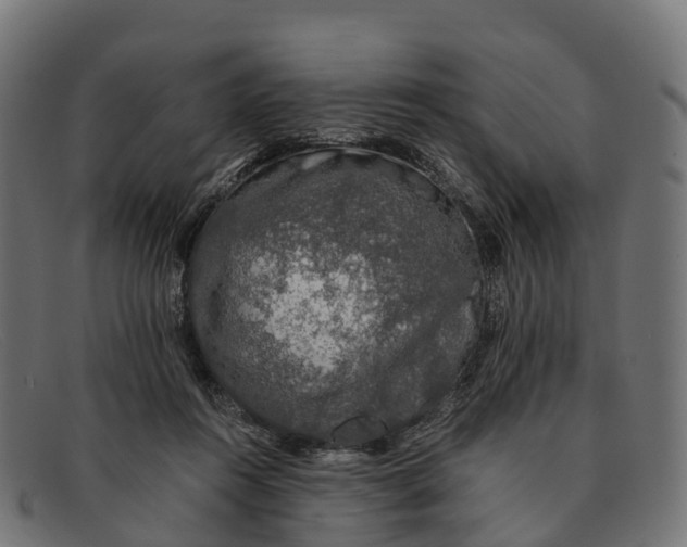 X0000091680360200709131552