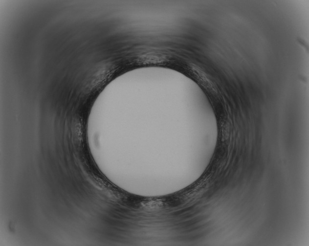 X0000091680362200709131552