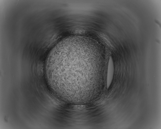 X0000091680363200709131552