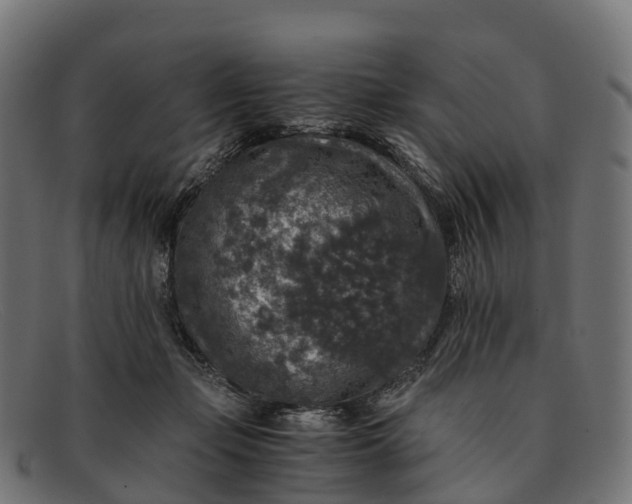 X0000091680365200709131552