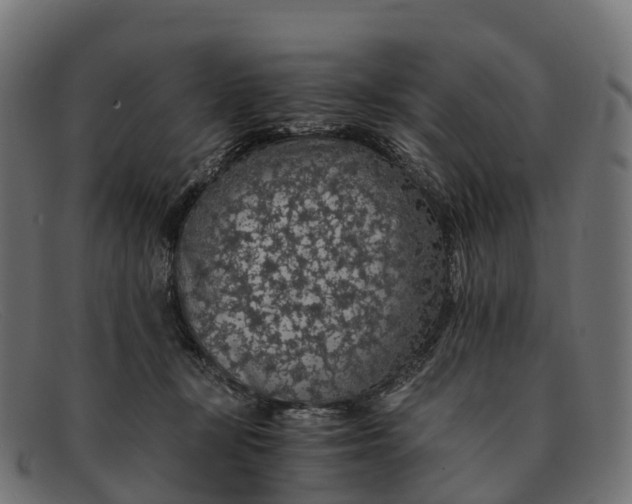 X0000091680367200709131552