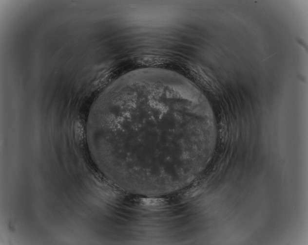 X0000091680371200709131552