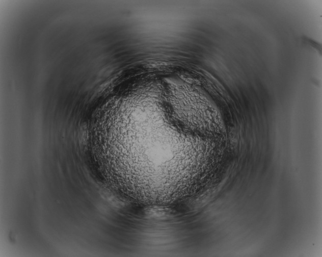 X0000091680372200709131552