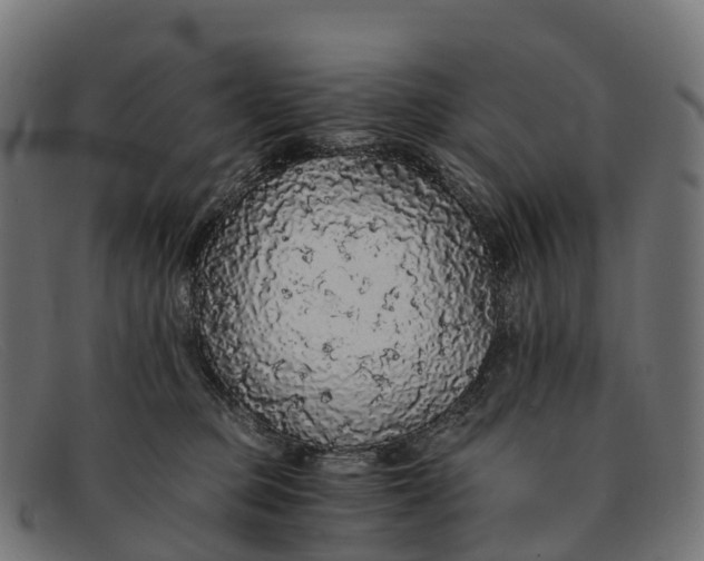 X0000091680373200709131552