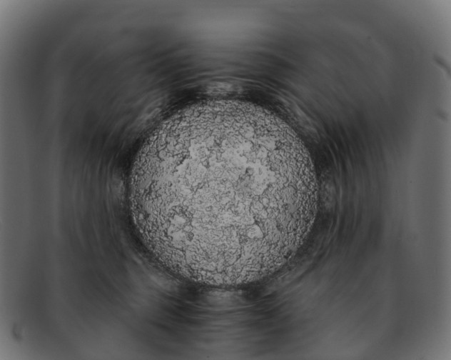 X0000091680375200709131552