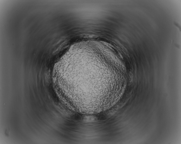 X0000091680376200709131552