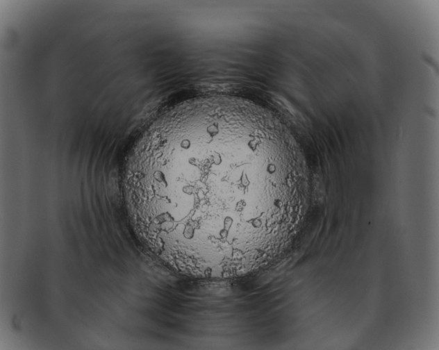 X0000091680377200709131552