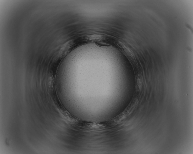 X0000091680379200709131552