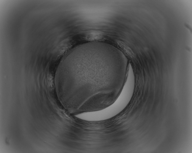 X0000091680380200709131552