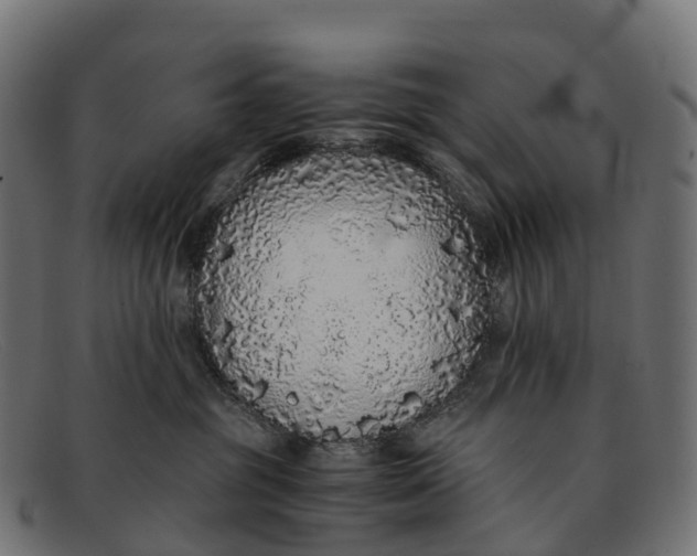 X0000091680381200709131552