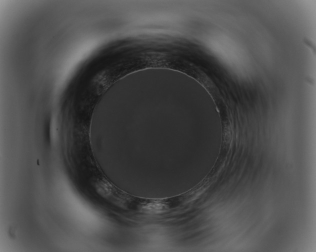 X0000091680383200709131552