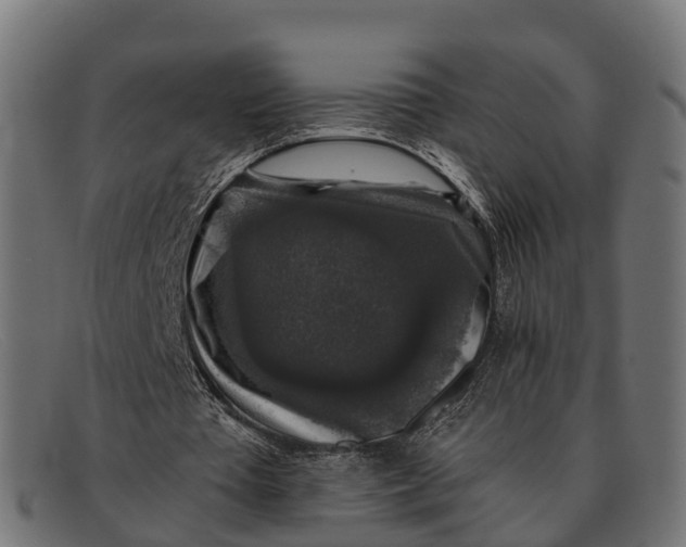 X0000091680385200709131552