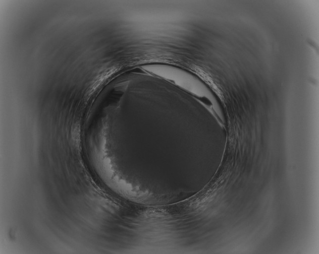 X0000091680386200709131552