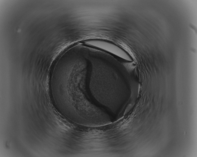 X0000091680387200709131552